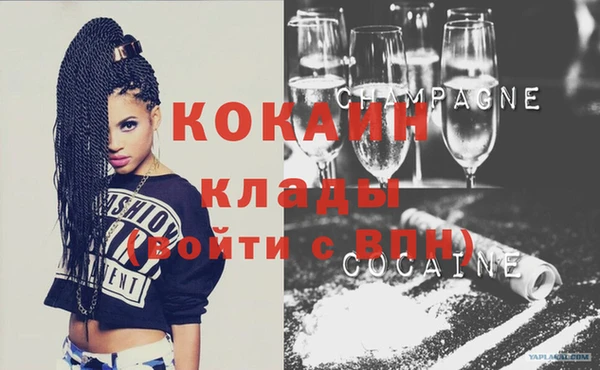 индика Аркадак
